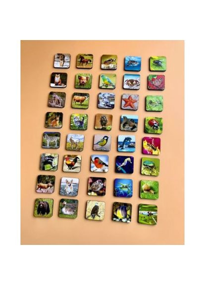 Комодик-сортер "Види тварин" Ань-Янь (371647878)