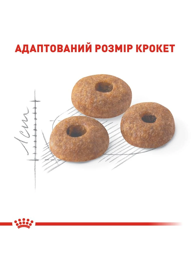 Сухий корм для домашніх і вуличних кішок Fit 2 кг (3182550702201) (2520020) Royal Canin (364787749)