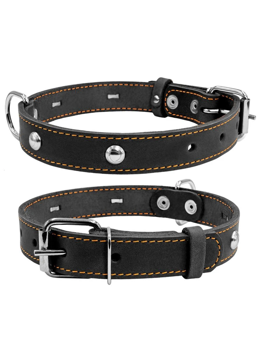Нашийник одинарний 25мм/38-50см Чорний Collar (322327916)