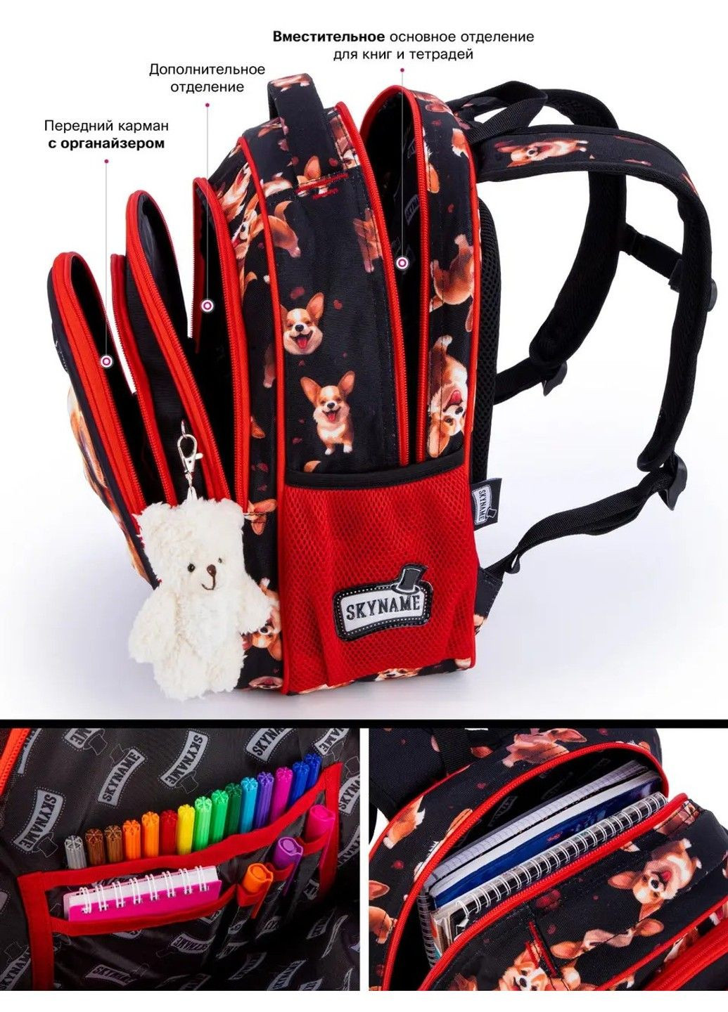 Рюкзак школьный для девочек /SkyName R2-213 Winner (331532385)