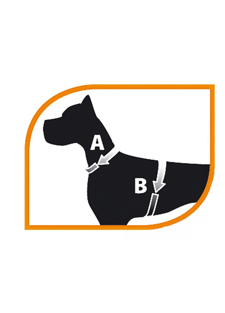 Шлея для собак і котів Nikita P XS нейлонова синя A: 19-26 см B: 28-40 см 1 см 75468625 Ferplast (269341651)