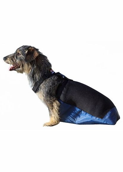 Ползунки для животных размер М (Черный с синим) Frakishtak (303927167)