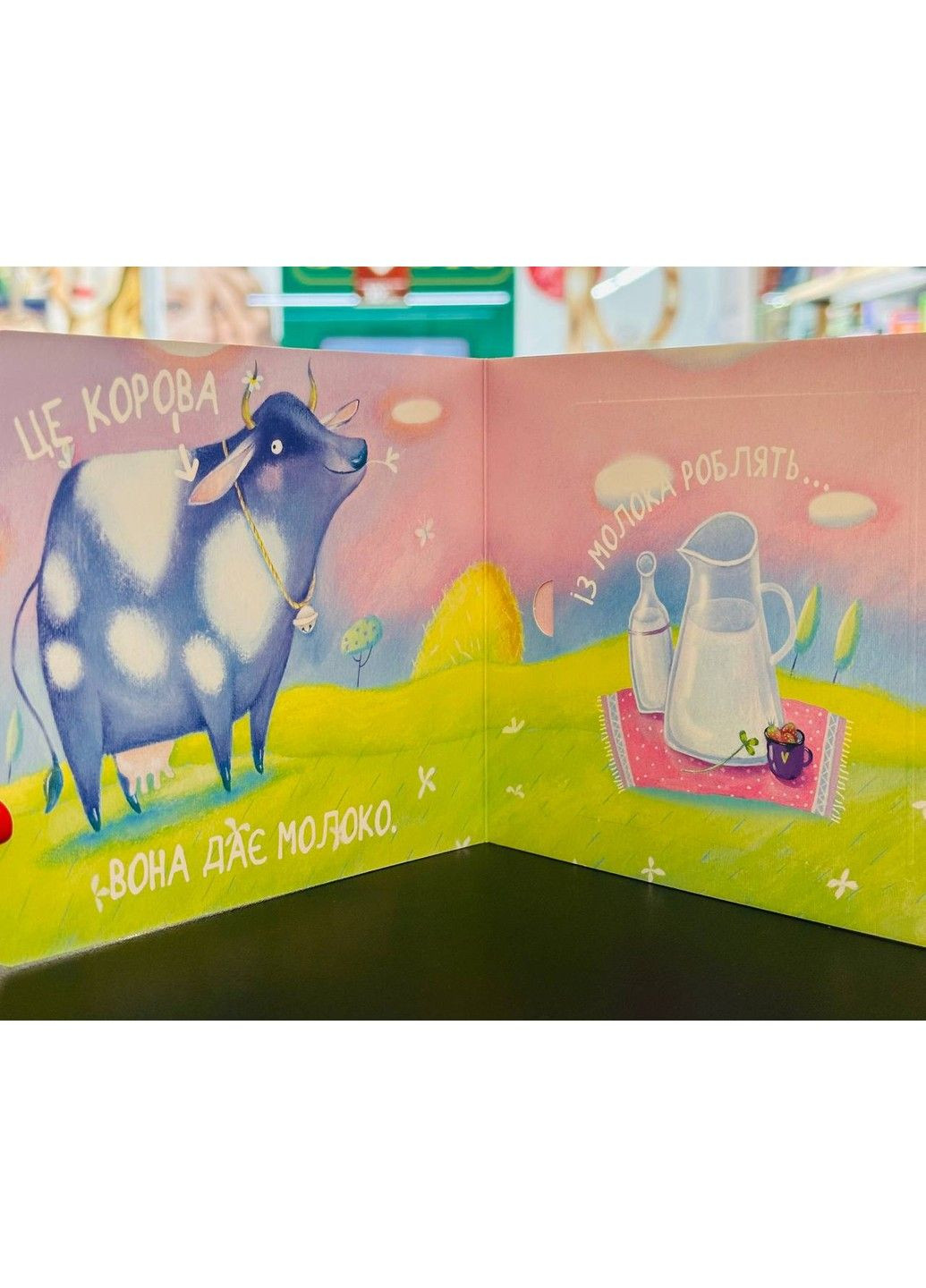 Книга з віконцями (клапанами) Що з чого? Видавництво "ПЕТ" (321967572)