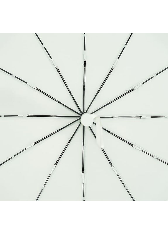 Зелёный автоматический зонт c18816g-green Monsen (365727904)