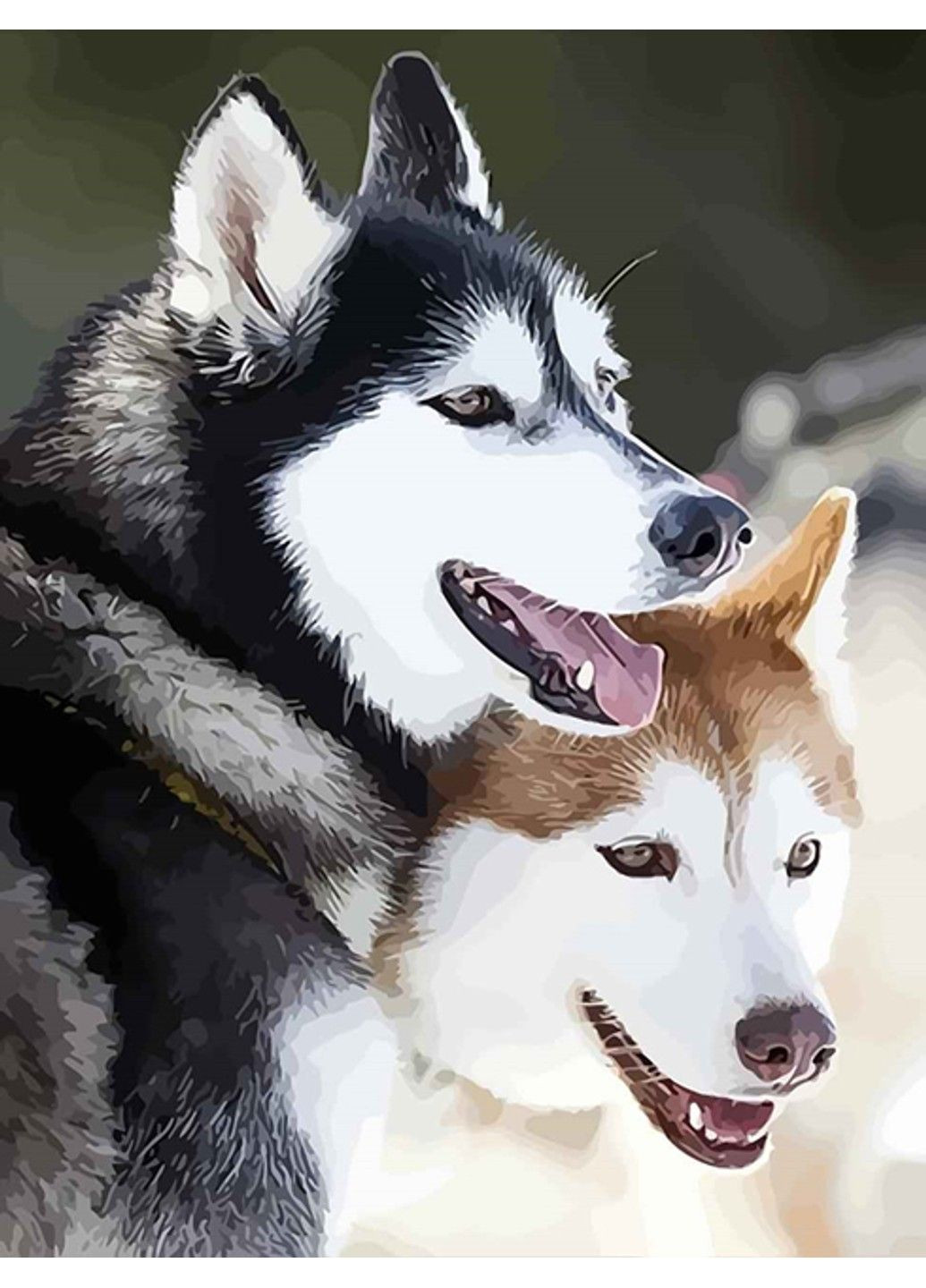 Алмазна мозаїка вишивка Закохані Сибірські хаски на підрамнику повна 5d 40х50 177232 No Brand (332207954)