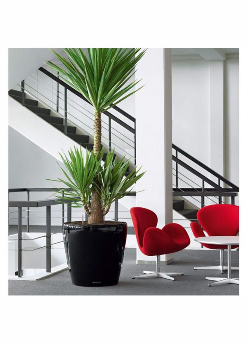 Вазон Classico 60, чорний (A-014471) Lechuza (317268838)