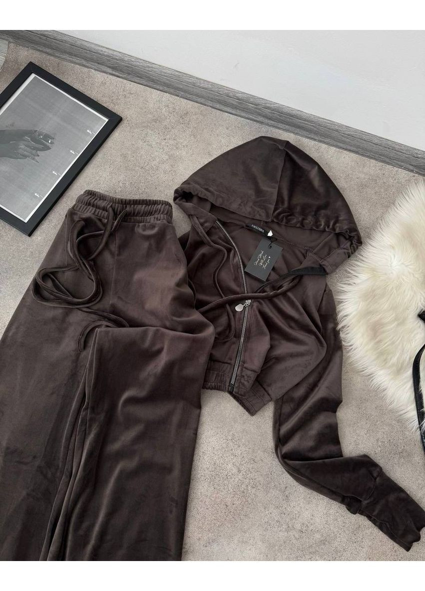 Жіночий велюровий костюм Україна (349817910)