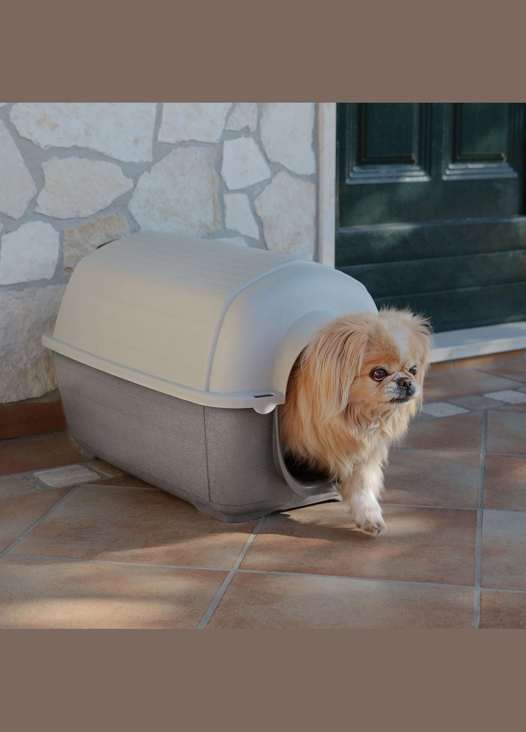 KENNY MINI Буда для собаки, пластик Ferplast (335206462)