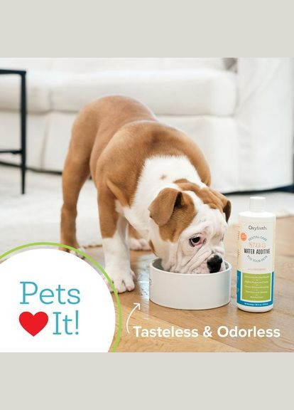 Стоматологічна добавка для усунення запаху та запобігання утворенню зубного каменю 250мл США Oxyfresh (329193064)