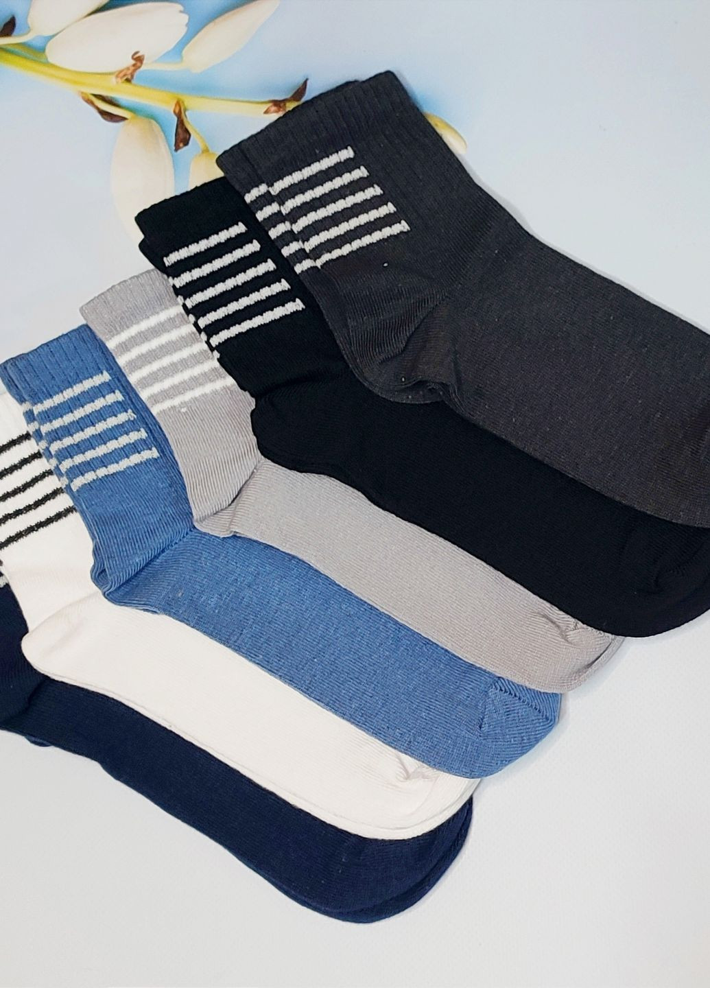 Шкарпетки дитячі бавоняні 6 пар Житомир DL 803/6 Lomani (345733268)