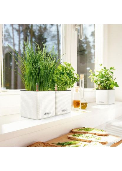 Розумний вазон Cube Color 16 1,75 л сірий 13584 Lechuza (362264907)