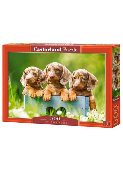 Пазлы Щенята таксы 500 элементов 47х33 см Разноцветный В-53605 Castorland (360646919)