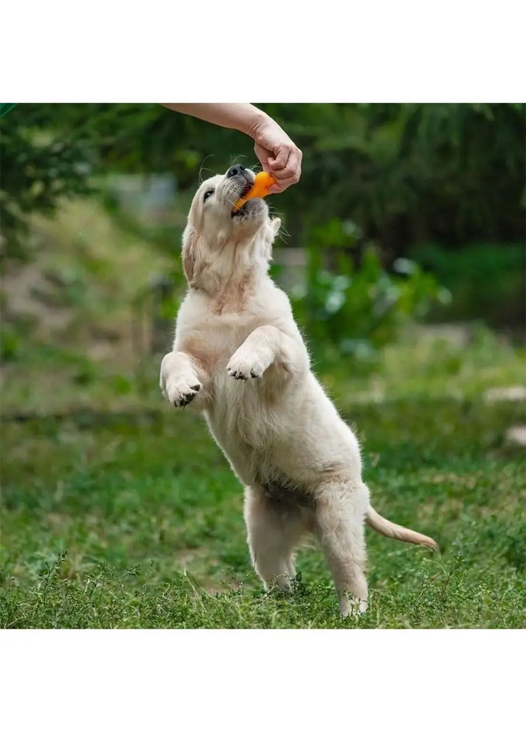 Іграшка у формі кісточки для тварин з вбудованою пищалкою при стисканні 9 см * 5см * 1 см Idea (316708094)