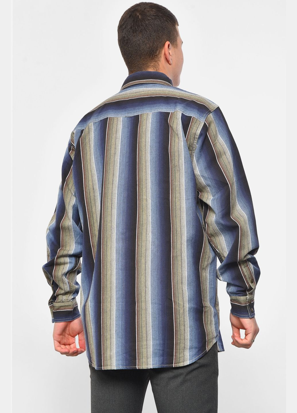 Сорочка чоловіча батальна синього кольору в смужку Let's Shop (293765162)
