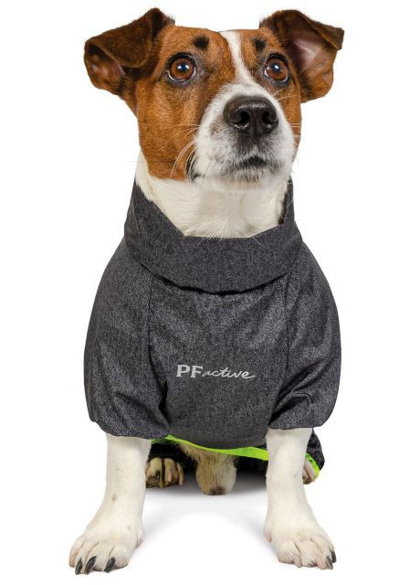 Комбинезон для средних собак RAIN Active такса (4823082416356) Pet Fashion (279571484)