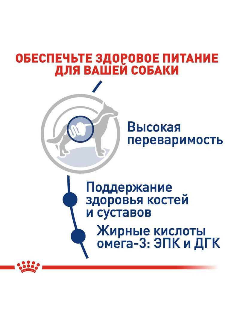 Сухой корм Maxi Adult для собак крупных пород 4 кг (3182550402224) Royal Canin (364788886)