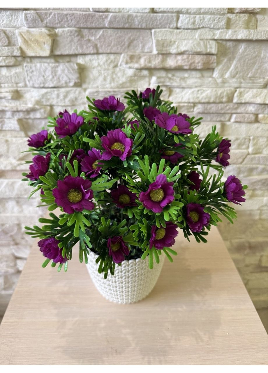 Букет из фиолетовой ромашки в горшке 30 см. Пластмакс (372838109)