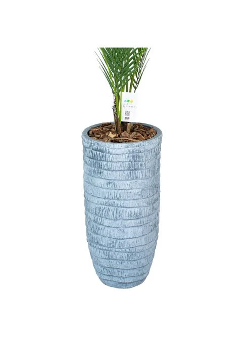 Искусственное растение Areca Palm 150 см в кашпо (DW-3078-1) Engard (387560300)