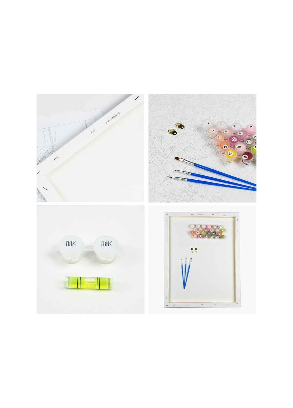 Набор для росписи по номерам "Пение птички" 30х30см ES-0834 Strateg (354343461)