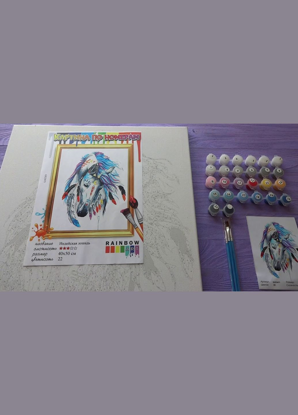 Картина по номерам Изящный танец Картины на холсте красивая пара 40х50 Раскраска для взрослых BS52268 Brushme (315762771)