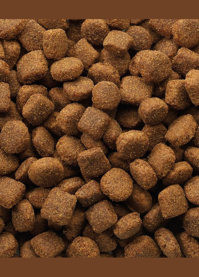 Сухой корм Classic Dog with Lamb & Rice с ягненком и рисом для собак всех пород 20 кг (5410340380178) Versele-Laga (316680005)