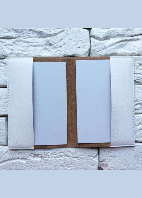 Обкладинка на паспорт Дівчина з фотоапаратом No Brand (299387855)