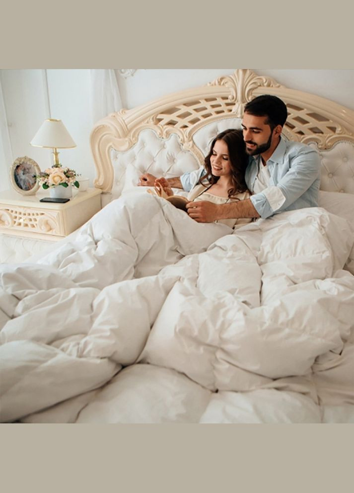 Ковдра Raffaello 051 демі 200x220 см 8061798 Mirson (316614118)