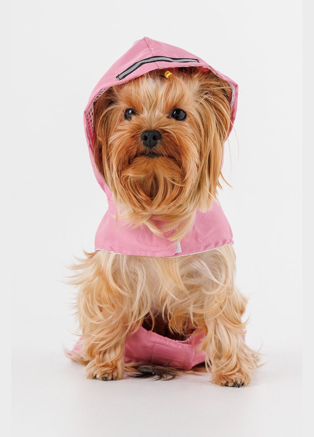 Дождевик для животных KM52619 Розовый (2002014440504A) shop (2002014440504) KUMAOCHONGWUYONGPIN (363829753)