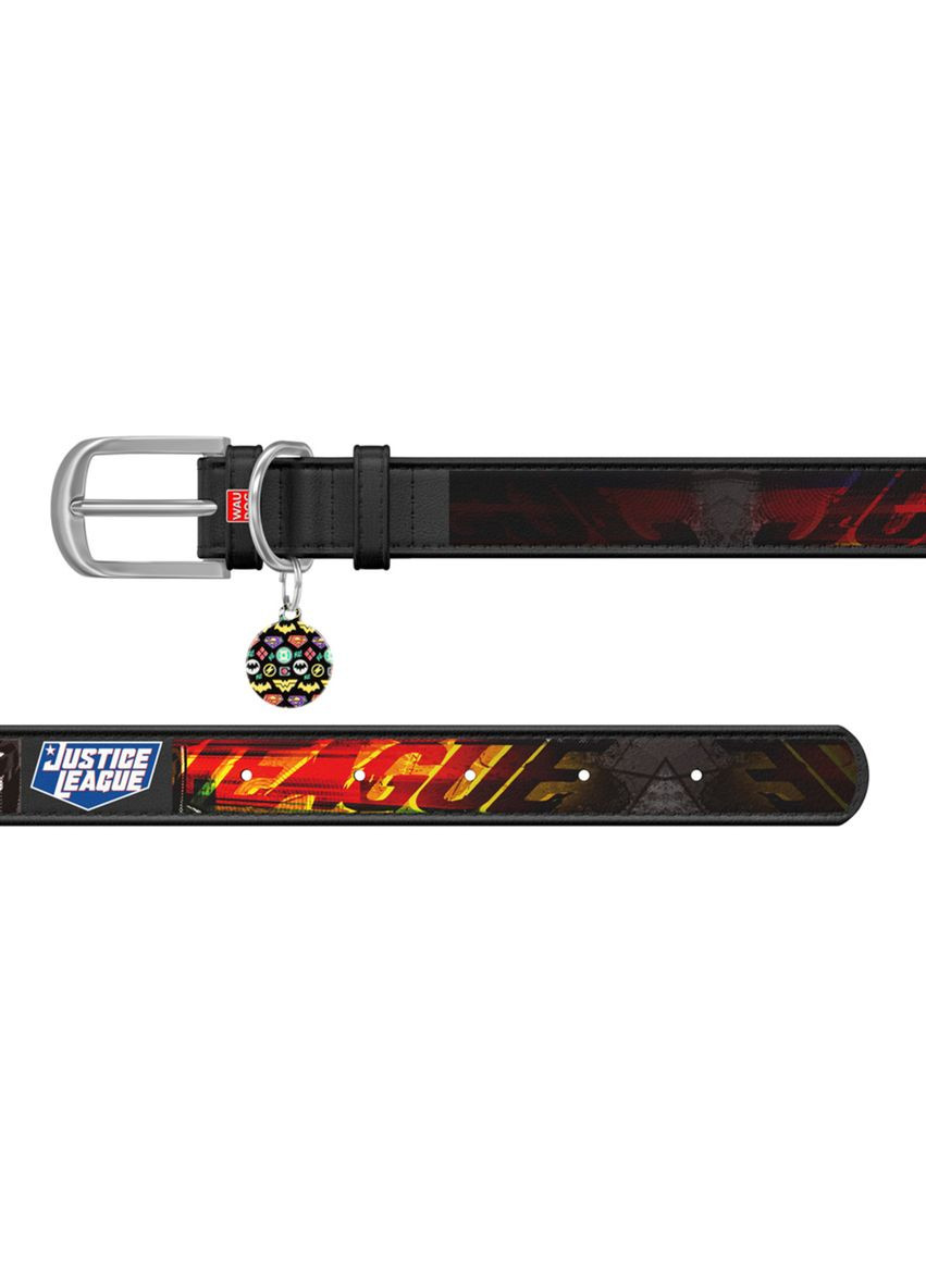 Нашийник для собак шкіряний Design з "Ліга Справедливості" Ш 20 мм Д 29-38 см Чорний WAUDOG (322328298)