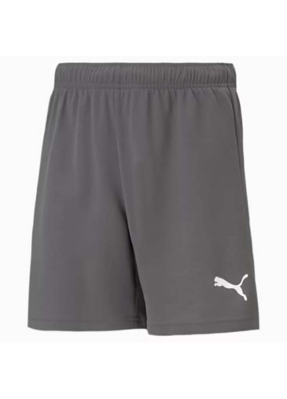 Шорти teamRISE Short Jr сірий Puma (367601789)