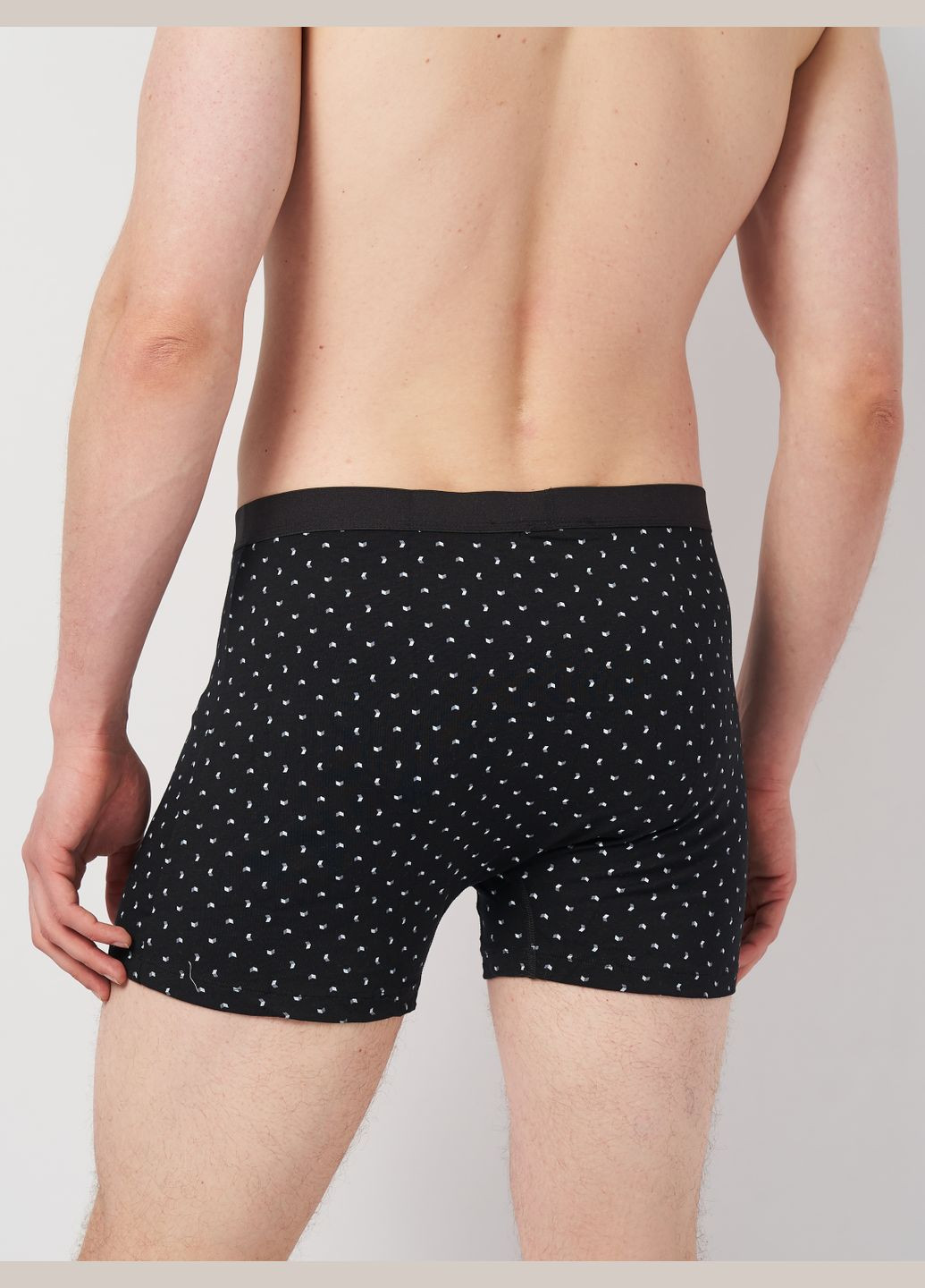 Труси (3шт) Basic Collection (295079726)