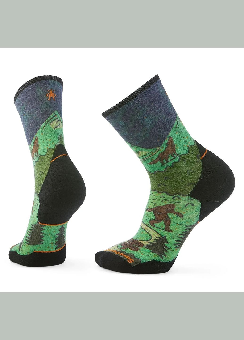 Носки мужские Trail Run Targeted Cushion Neature Print Crew Man Разноцветный Smartwool (365308495)