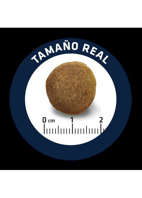 Dog German Shepherd Сухий корм для німецьких вівчарок з індичкою та рисом Advance (372159088)