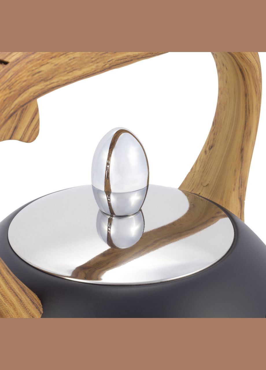 Чайник 2,5 л. з нержавіючої сталі зі свистком Графіт Kamille (311601859)