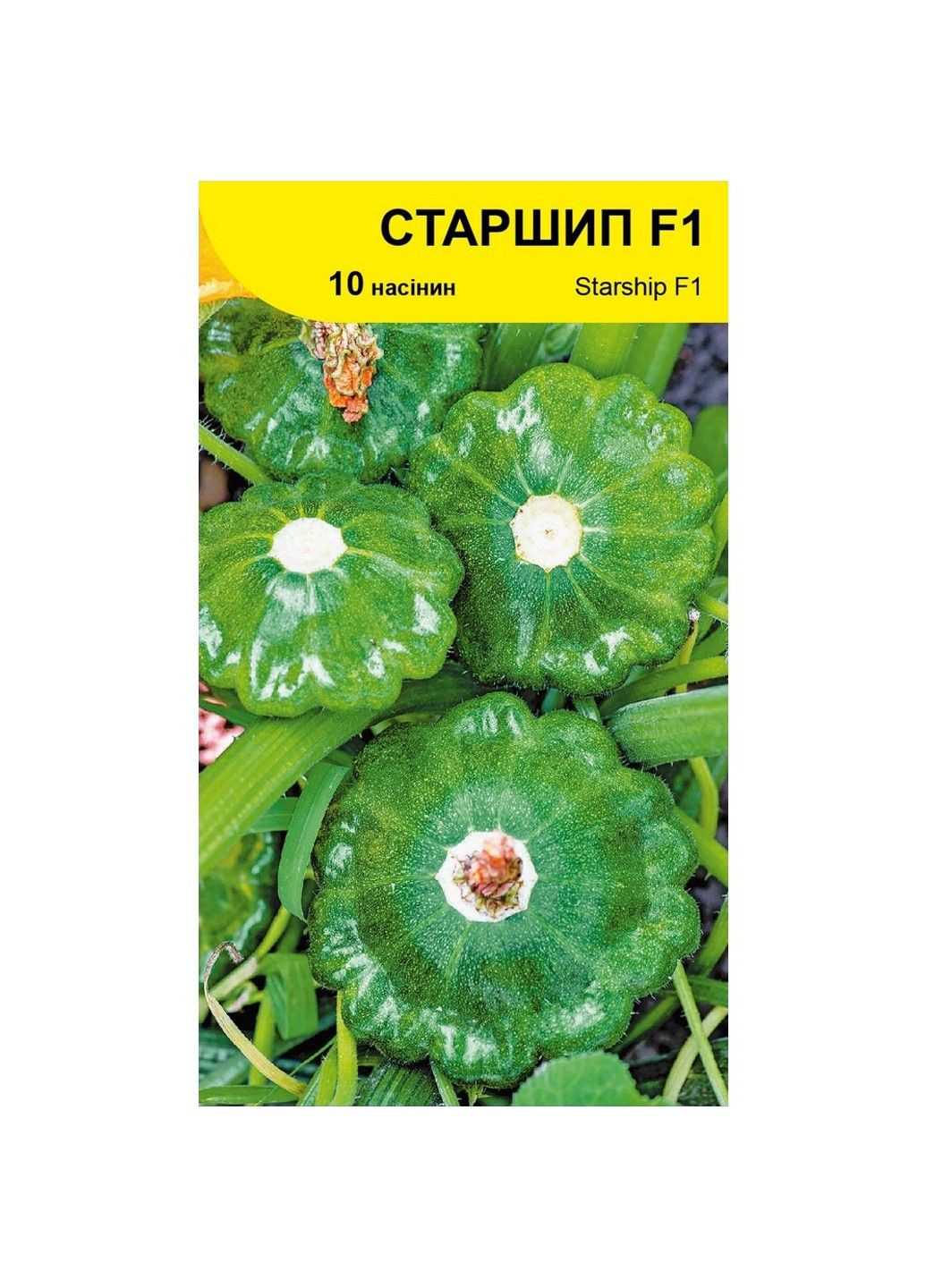 Насіння патисону Старшіп F1 Syngenta (331900635)