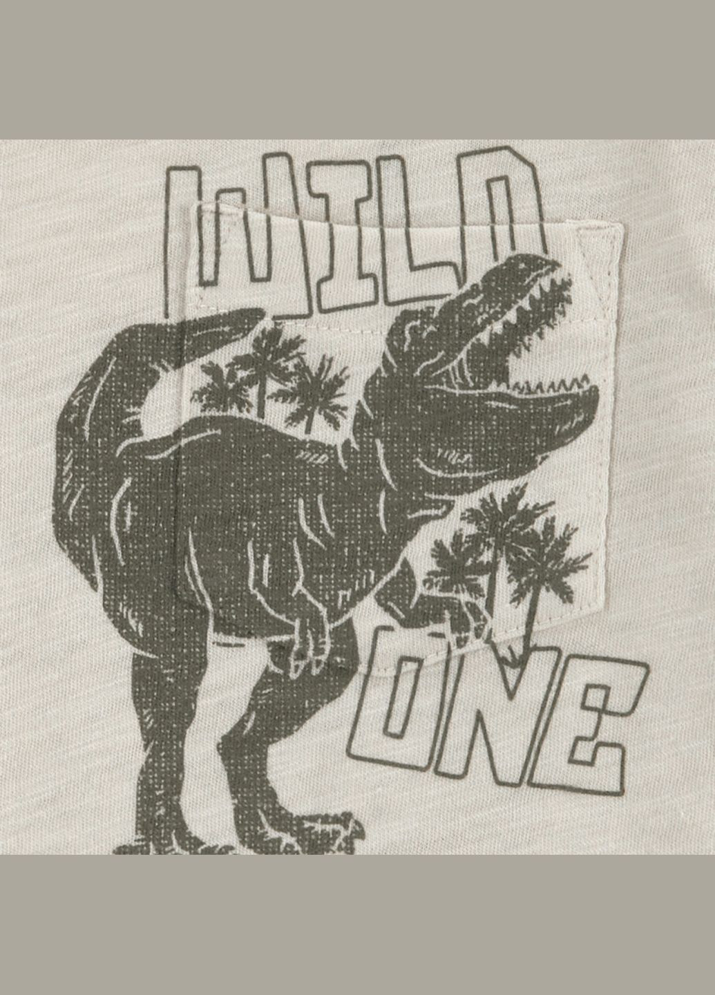 Коричнева демісезонна футболка для хлопчика 72-76 см (1q513210_) Carter's