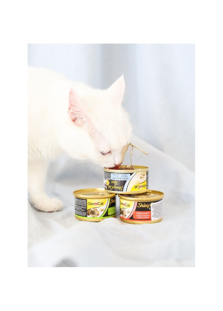 Корм влажный Shiny Cat Filet для кошек с тунцом лососем и рисом 70 г GimCat (362459035)