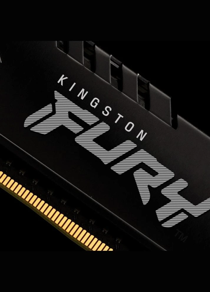 Память для настольных компьютеров 16 GB DDR4 2666 MHz Beast Black (KF426C16BB/16) Kingston FURY (314977074)