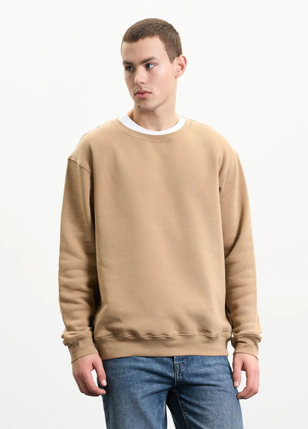 Коричневий світшот чоловічий утеплений Роза однотонний без декору (318546388)