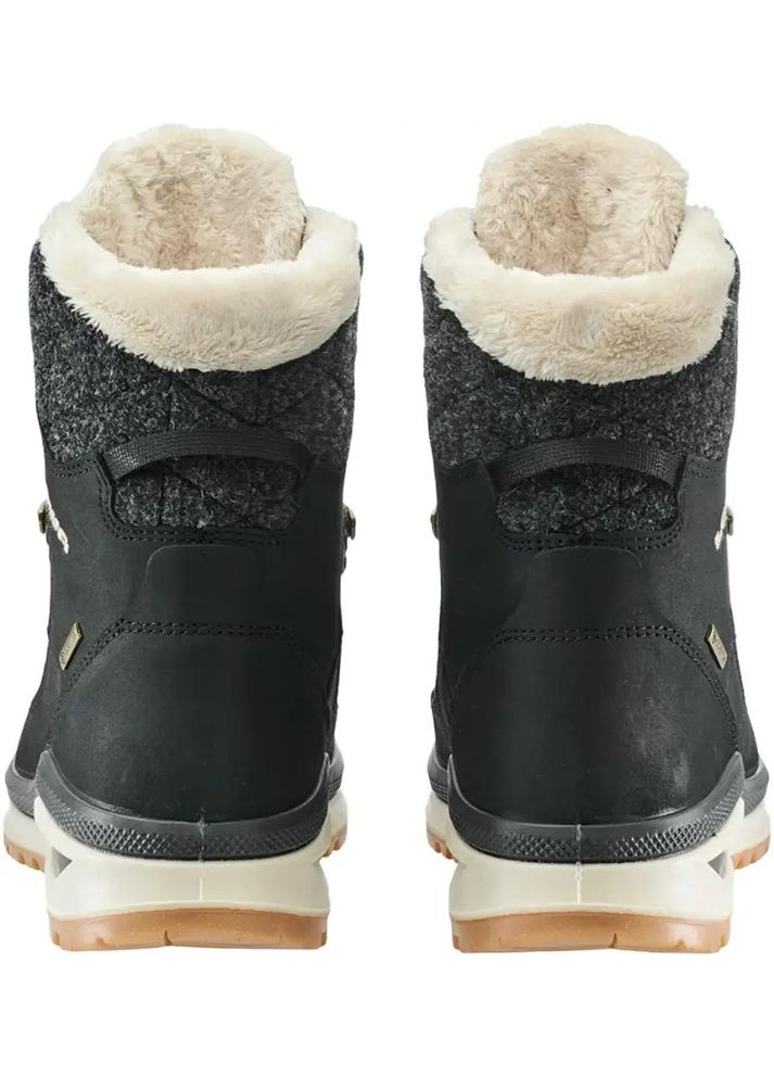 Черевики з Gore-Tex Renegade Evo Ice GTX W Black-Champagne Lowa (346818514)