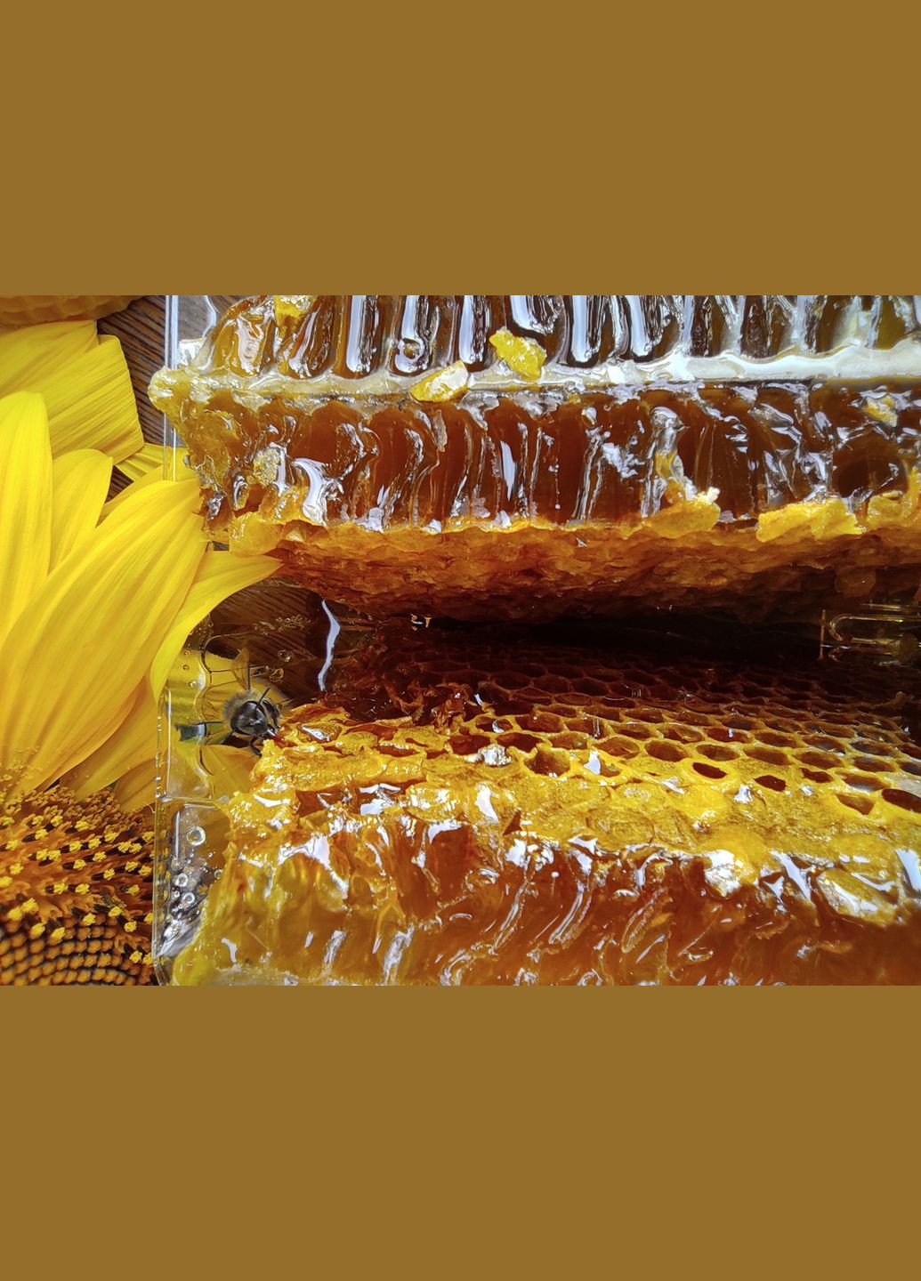 2025 г Соты Разнотравье - подсолнечник 700 грамм МЕД ПОШТОЮ (351874109)