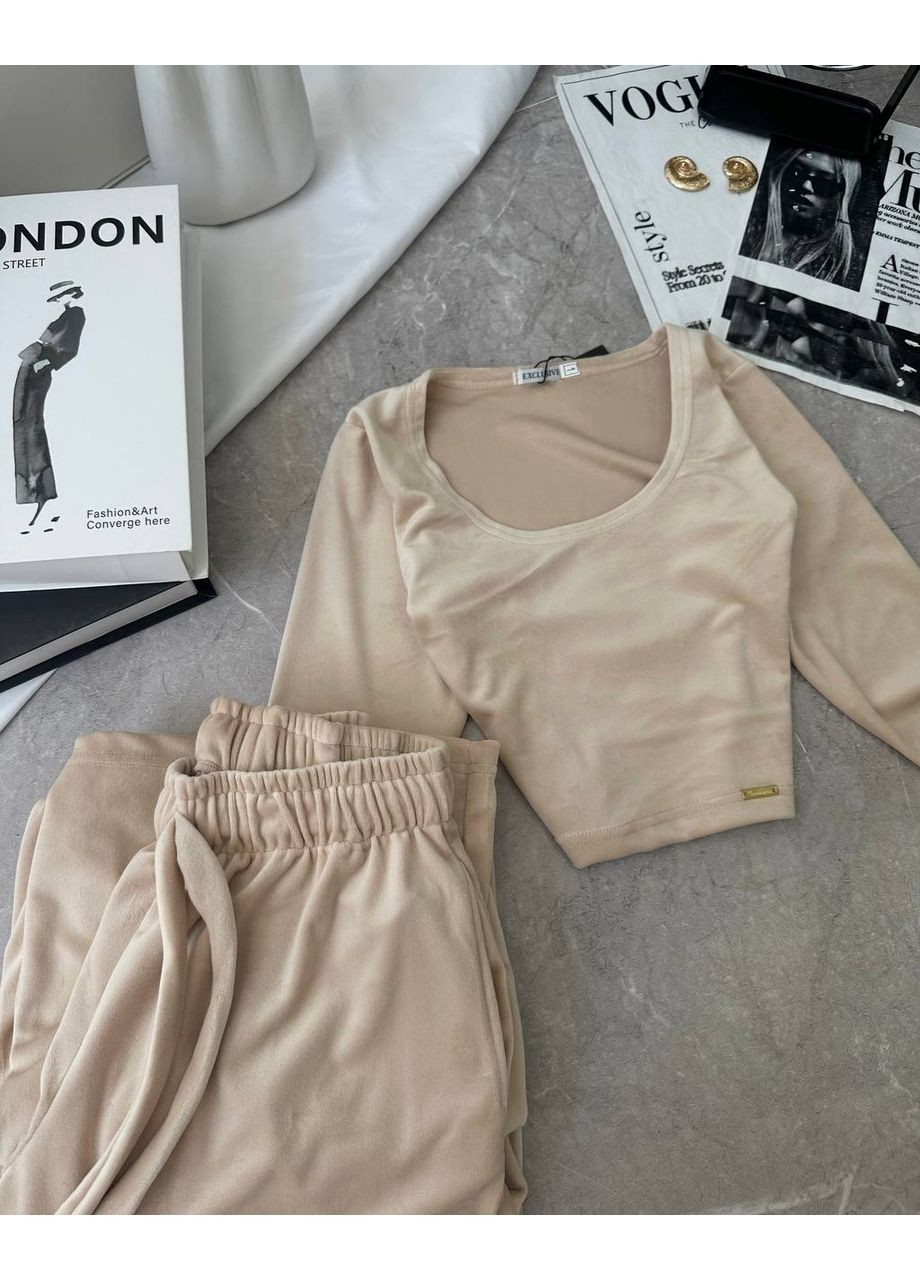 Жіночий велюровий костюм Україна (356683175)