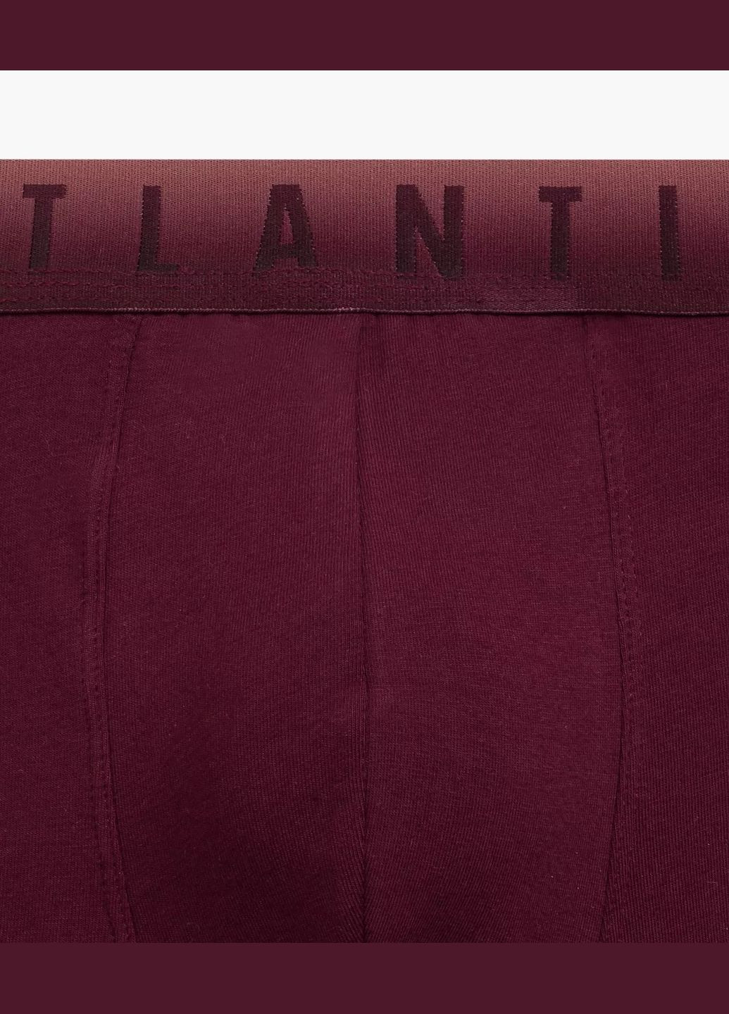 Мужские шорты боксеры Atlantic (304986047)