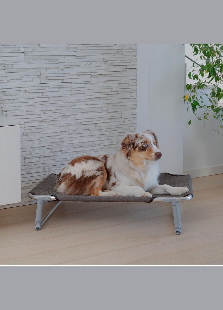 Кровать раскладка для собак Dream (Ферпласт Дрим) 84 х 54 x h 7 см - 80 Ferplast (297511060)