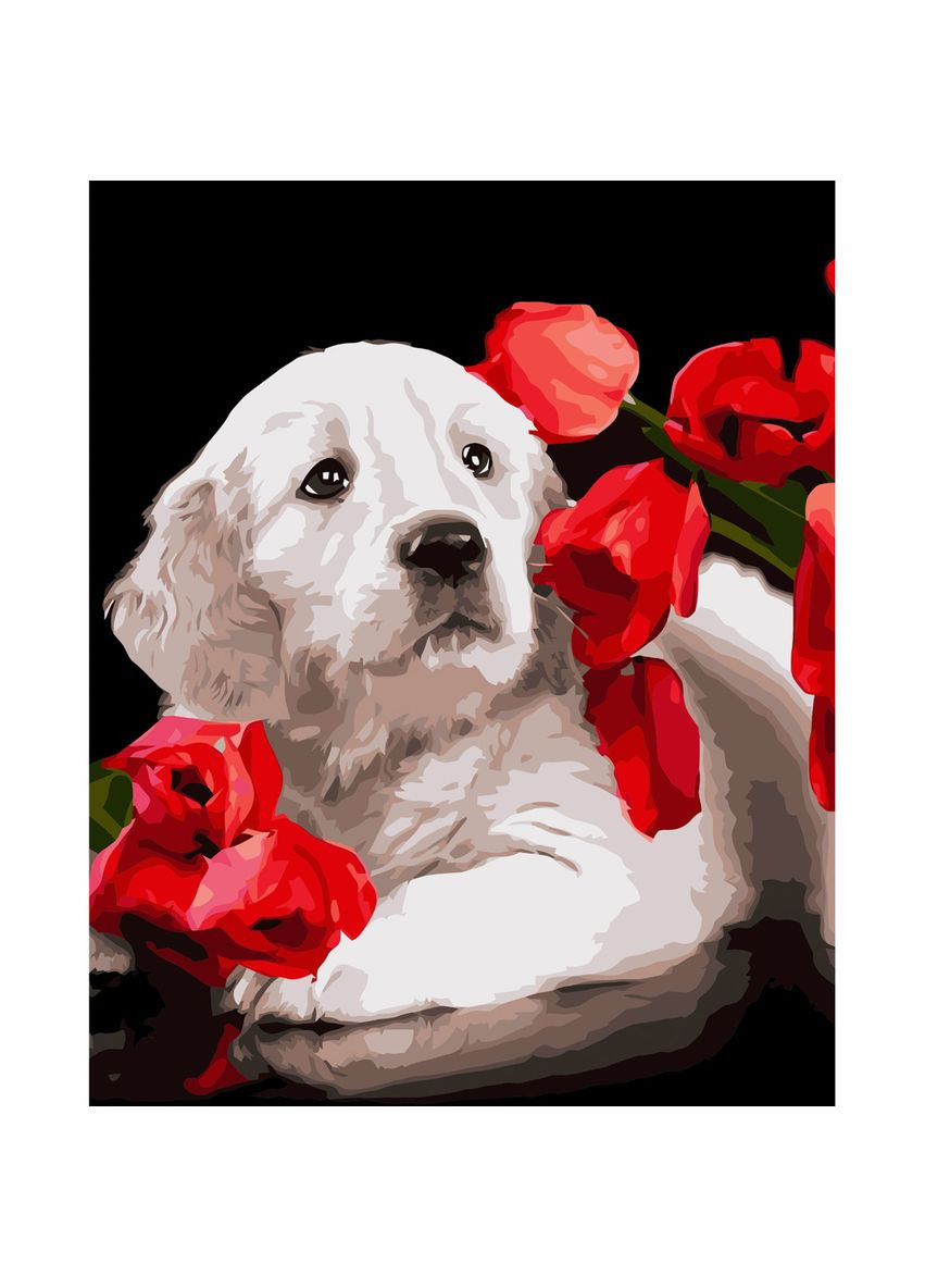 Картина по номерам "Собачка в маках" для творчества с акриловыми красками и лаком. Strateg (369760428)