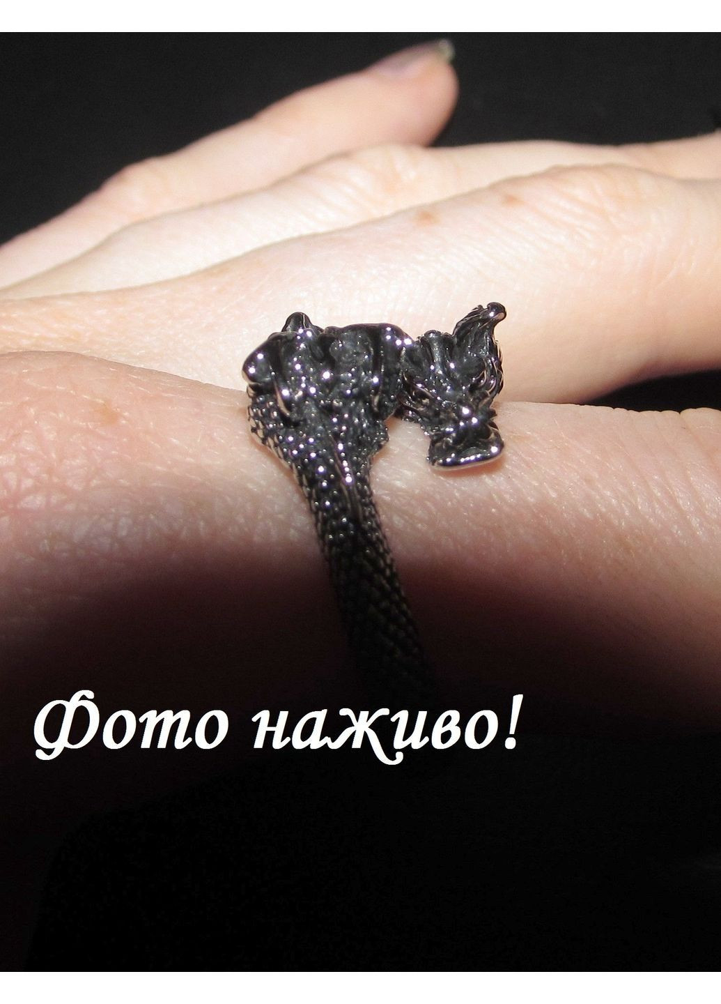 Срібляста каблучка дракон з двома головами, безрозмірна, 1475 No Brand (362050377)