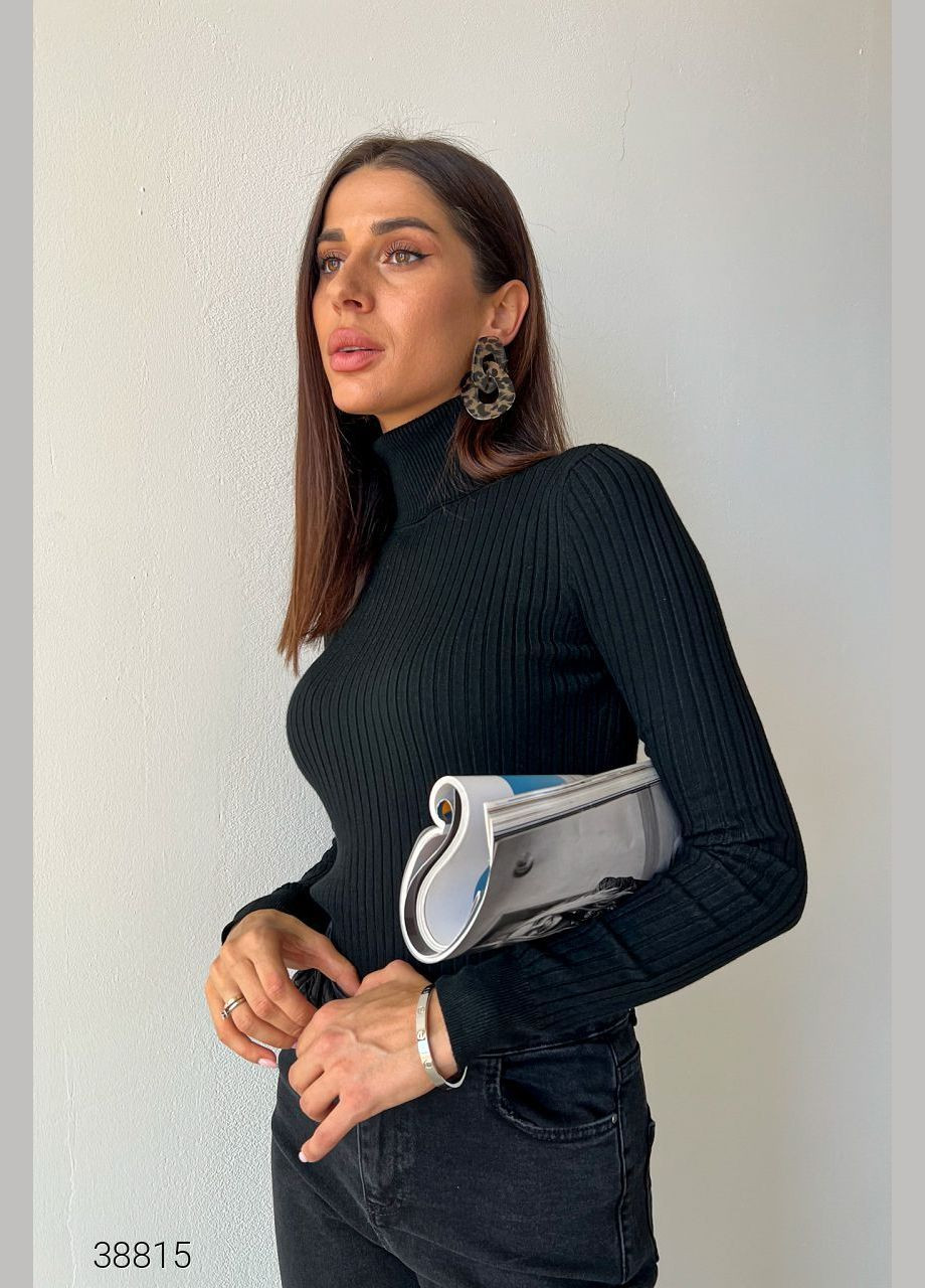 Водолазка в широкий рубчик з коміром з відворотом Liton (303727691)