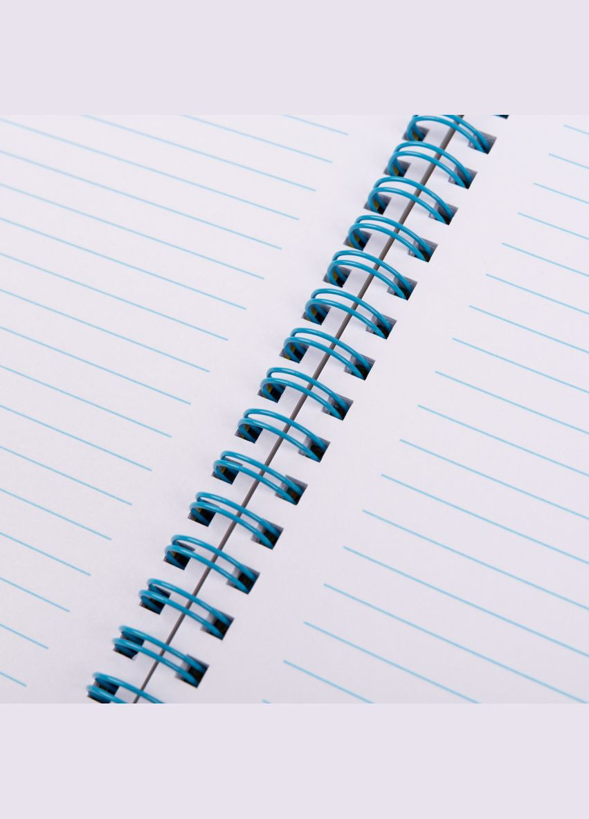 Тетрадь А4 Minions 765739 80 листов Yes (364490404)