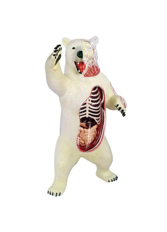 Об'ємна модель Білий ведмідь, 36 елементів () 4D Master 26097 (328399175)