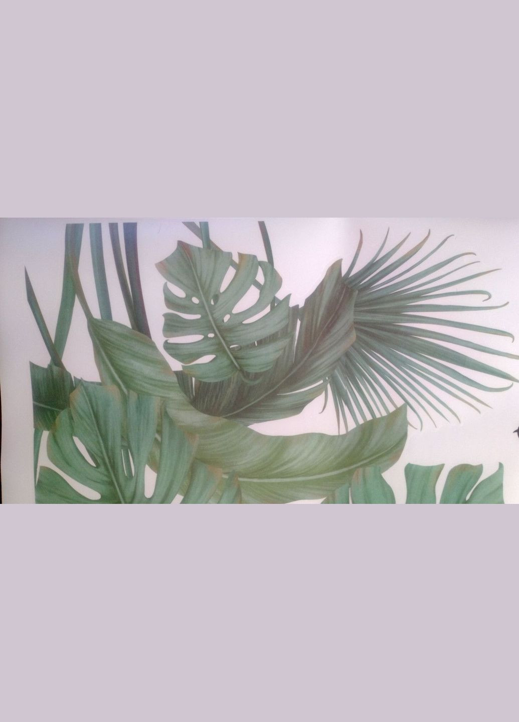 Виниловые наклейки на стену Зеленые листья вазоны (лист 60 х 90 см) Б296-2 No Brand (302241991)